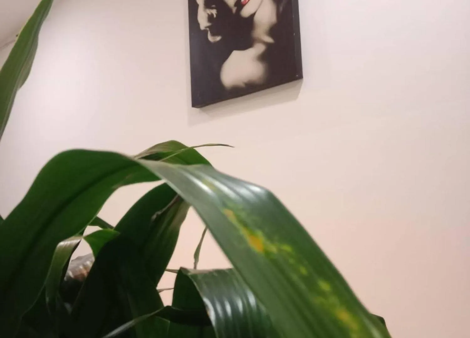 House Hotel Sweet Home 2 Apartments Medellin Colombia